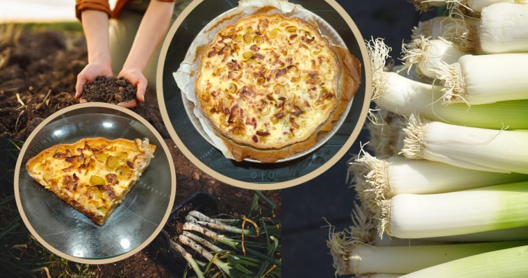Quiche aux poireaux