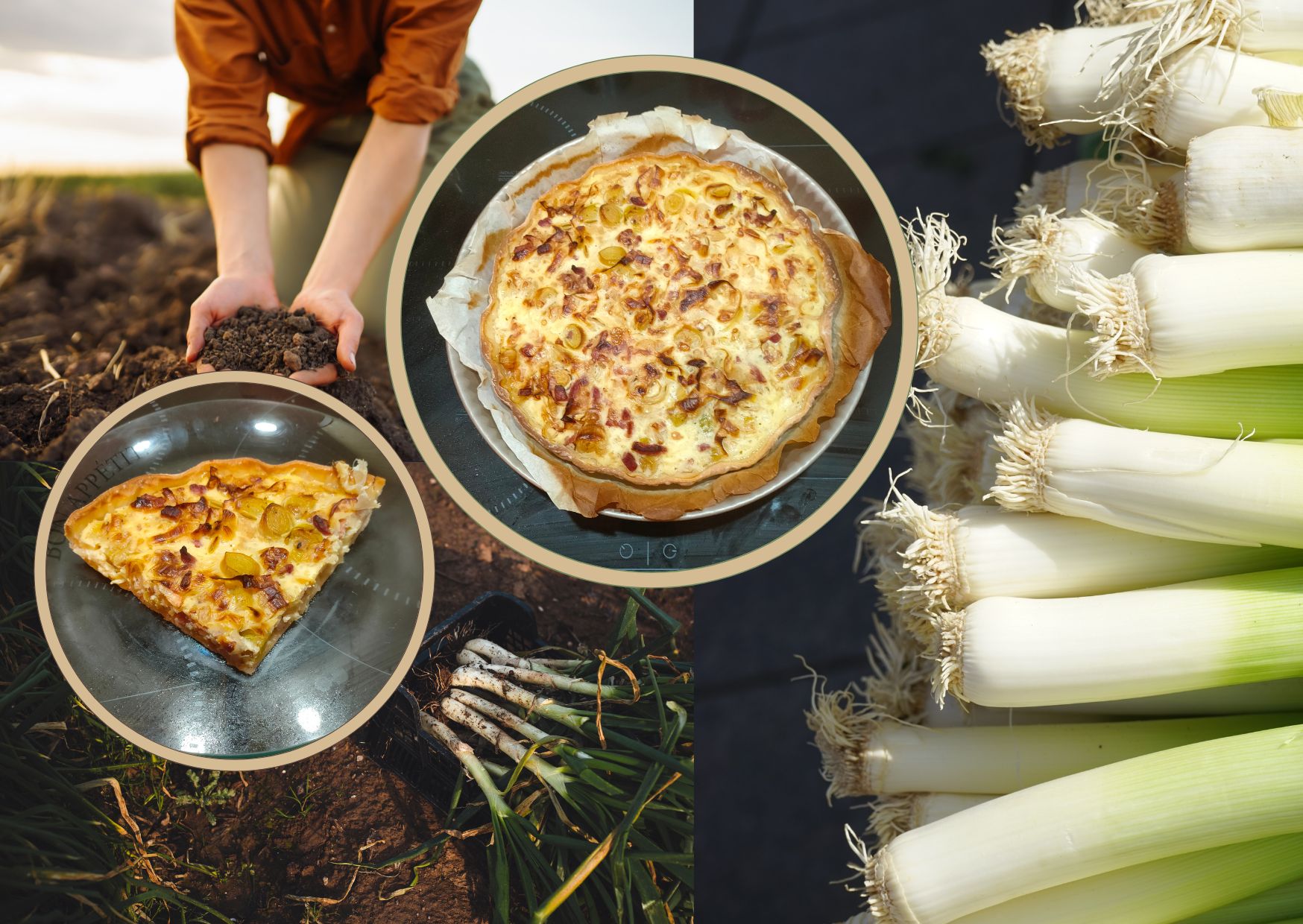 Quiche aux poireaux